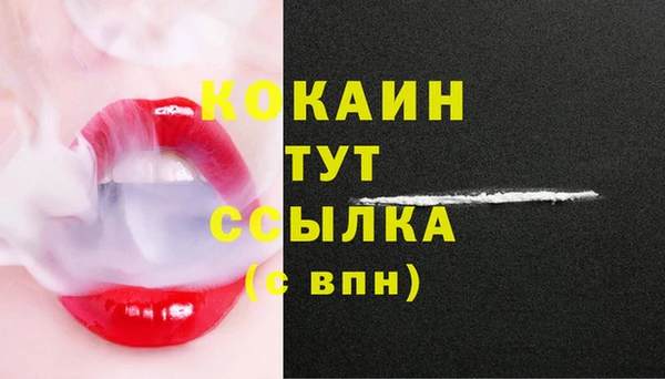 СК Слюдянка